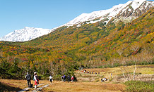 栂池自然園