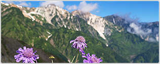 �O���[�v���X�v����
